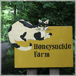 Honeysuckle Farm Cattery